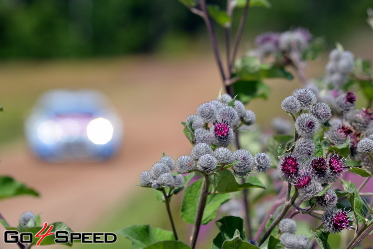 'auto24 Rally Estonia' rallijs