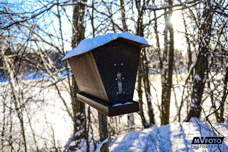 Zviedrijas WRC 1.diena