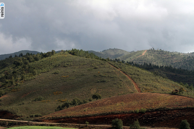 WRC Rally de Portugal 2012