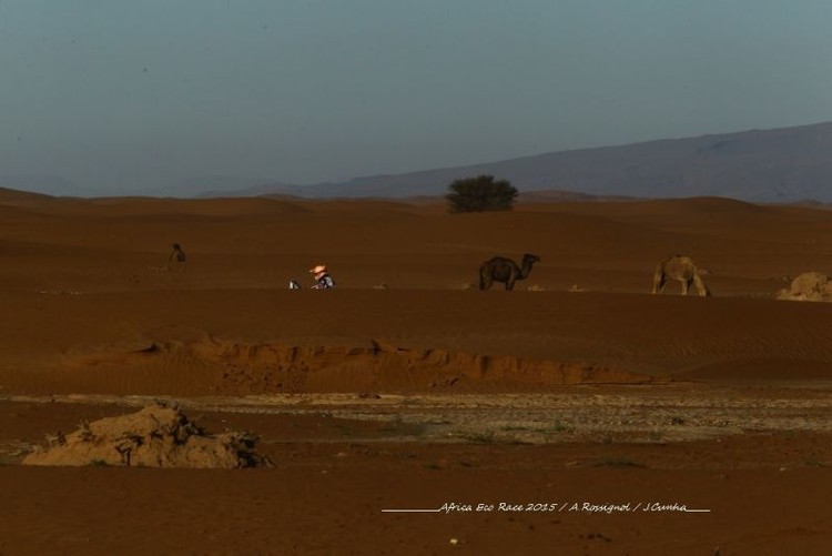 'Africa Eco Race' dalībnieki ātrumposmos satiek kamieļus