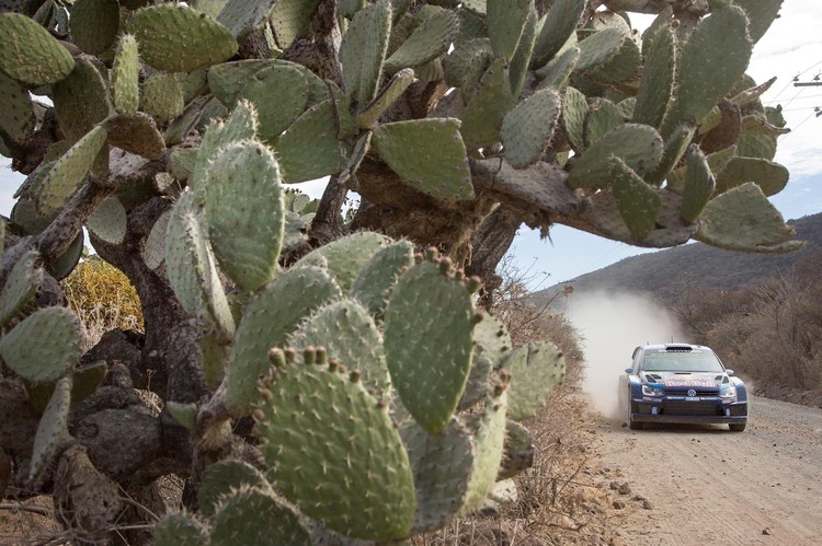 Karstums, putekļi un milzīgie Meksikas rallija kaktusi 