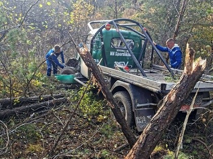 FOTO: Gatavojoties Sāremā rallijam, GAZ ekipāža avarē un 'nopļauj' vairākas priedes