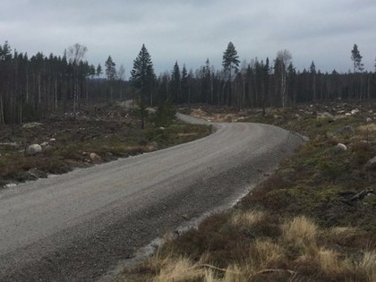 FOTO: Zviedrijas WRC rallija sniegotie ceļi pārvēršas dubļos