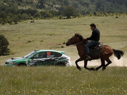 FOTO: Bruņurupucis un kazas gatavojas rallijam