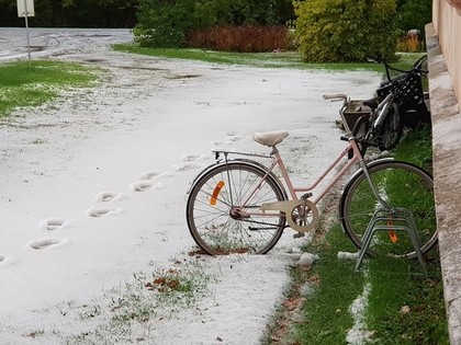 Pirms noslēdzošā Igaunijas rallija čempionāta posma Sāremā salā uzsnidzis sniegs