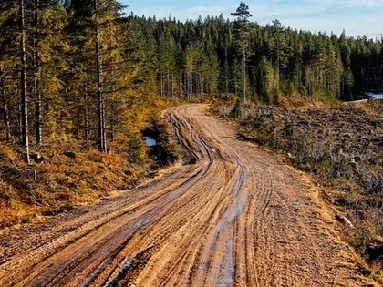 Noivils: Zviedrijas rallija ātrumposmos grants ir vairāk nekā gaidījām