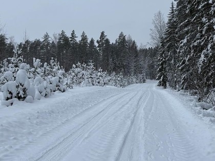 Sniega pārbagātība priecē Rally Alūksne rīkotājus; ceļi un apstākļi lieliski (FOTO)