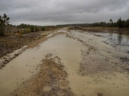 Edgars Balodis:  Ja kāds Sāremā rallijā brauks ar pilnu gāzi, rallijs var beigties ātri