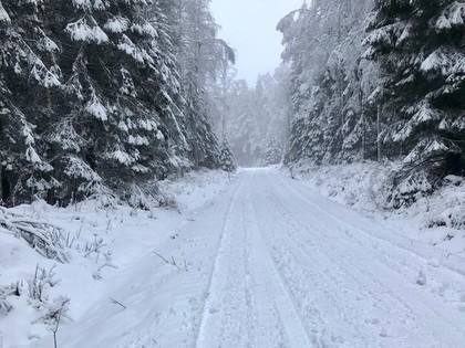 Zviedrijas WRC organizatori turpina gatavoties rallijam kā plānots (FOTO)