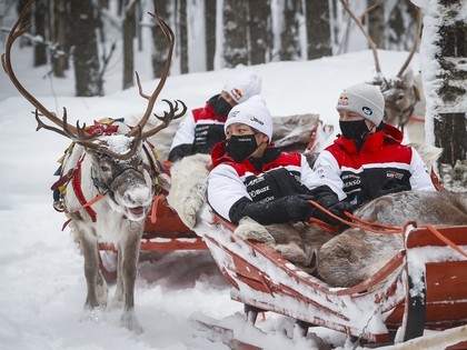 Ziemeļbriežu dēļ tiek atcelti divi Zviedrijas WRC rallija ātrumposmi